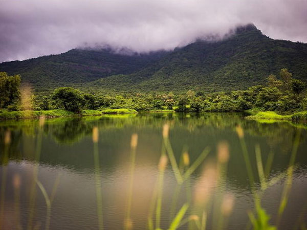 স্বর্গীয় অনুভূতি