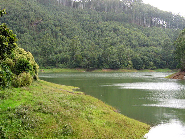 ইকো পয়েন্ট