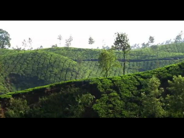 কীভাবে চলেছে বিচার প্রক্রিয়াটি?