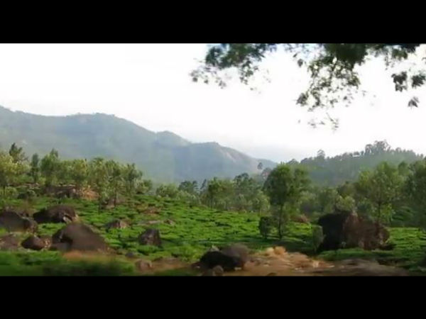 মুন্নারের ইতিহাস