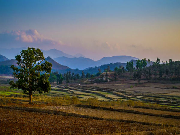 আরাকু ভ্যালি