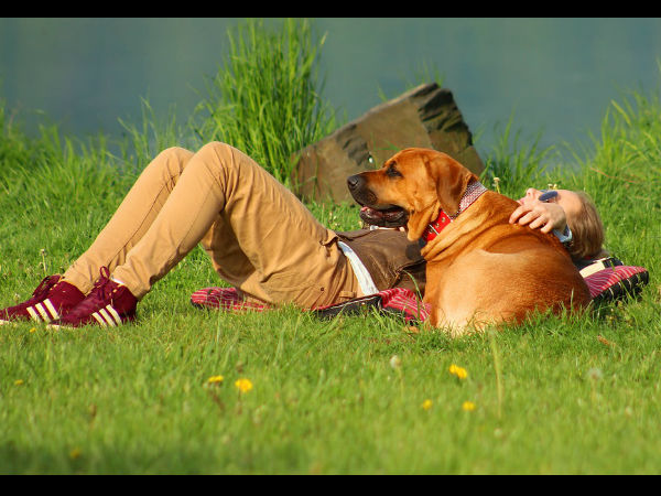 কেমন মানুষ হন এঁরা ?