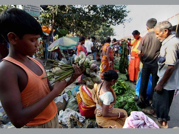 দূর্গাপুজো ২০১৩