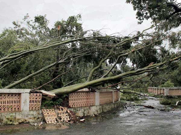 ক্ষতিগ্রস্ত মজুত খাদ্যশস্য, ত্রাণ পৌছতে বিলম্ব ওড়িশা ক্ষতিগ্রস্ত মজুত খাদ্যশস্য, ত্রাণ পৌছতে বিলম্ব ওড়িশা