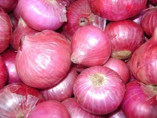 ১৫০ টাকা ছুঁতে চলেছে পিঁয়াজ