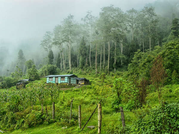 খুলছে পাহাড়