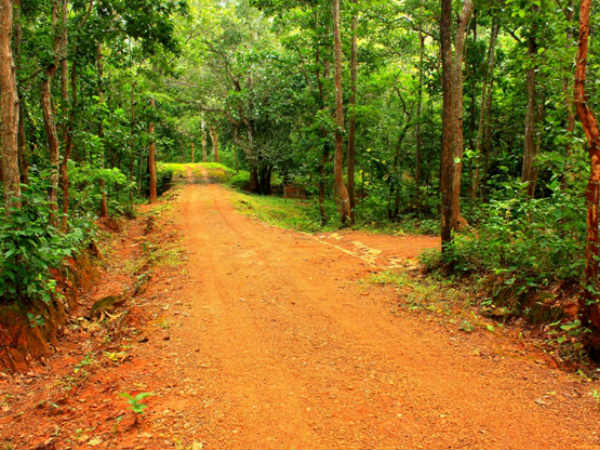 পঞ্চু পঞ্চু