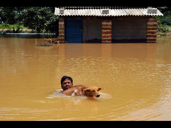 ওডিশা ওডিশা