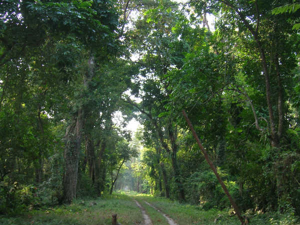 মেন্দাবাড়ি মেন্দাবাড়ি