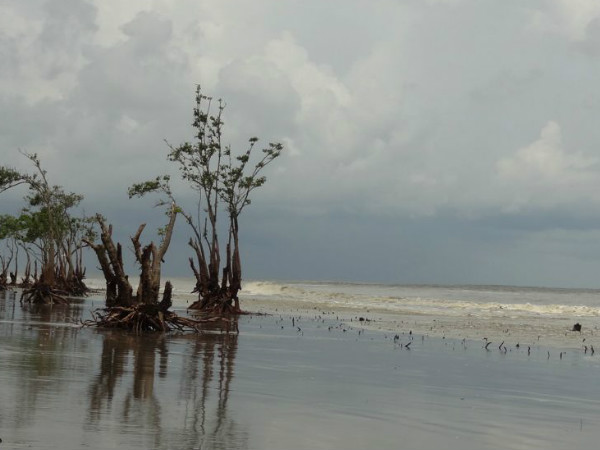 হেনরি হেনরি