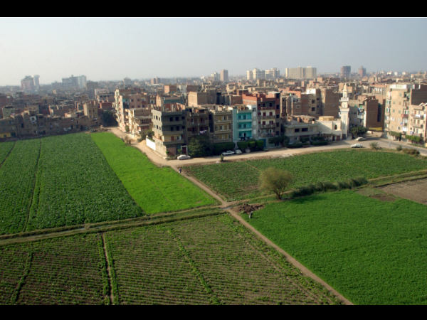 ককক ককক