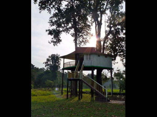 কক কক