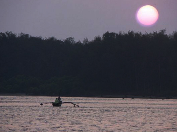 সিরসা