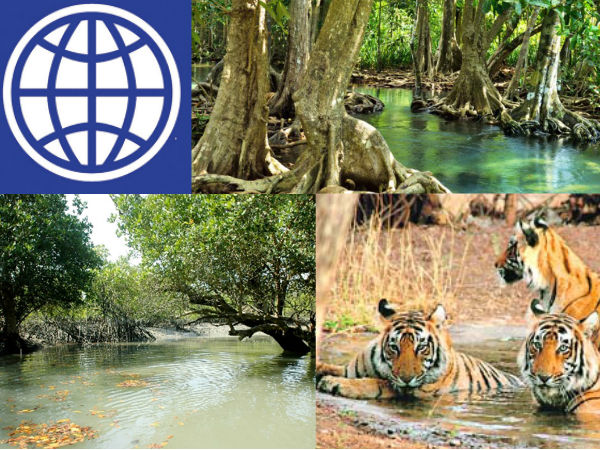 জলের তলায় চলে যেতে পারে সুন্দরবনের বিস্তীর্ণ এলাকা, রিপোর্টে জানাল বিশ্বব্যাঙ্ক জলের তলায় চলে যেতে পারে সুন্দরবনের বিস্তীর্ণ এলাকা, রিপোর্টে জানাল বিশ্বব্যাঙ্ক