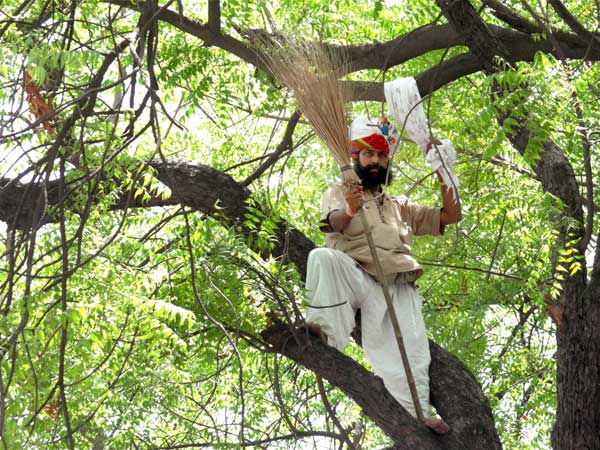 উত্তাল পাঞ্জাব