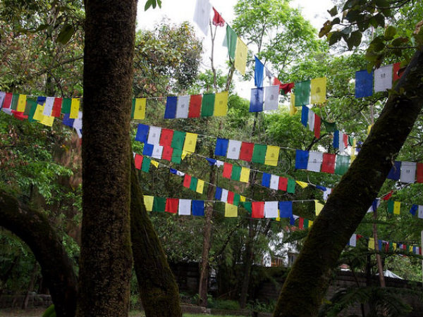 নোরবুলিঙ্গকা ইন্সটিটিউট