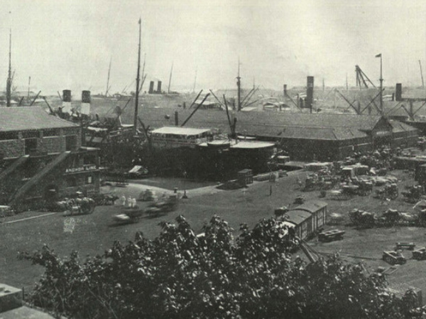 ভিক্টোরিয়া ডক