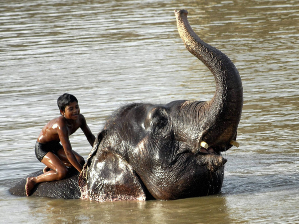 কলকাতা, (পশ্চিমবঙ্গ) ৩৬ ডিগ্রি সেলসিয়াস