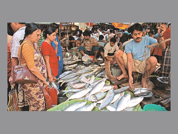 মোদী ঢেউয়ে এপারের বাঙালির পাতে ফের উঠতে পারে বাংলাদেশি ইলিশ! মোদী ঢেউয়ে এপারের বাঙালির পাতে ফের উঠতে পারে বাংলাদেশি ইলিশ!
