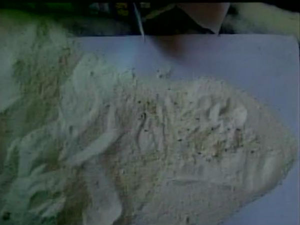 পোকা