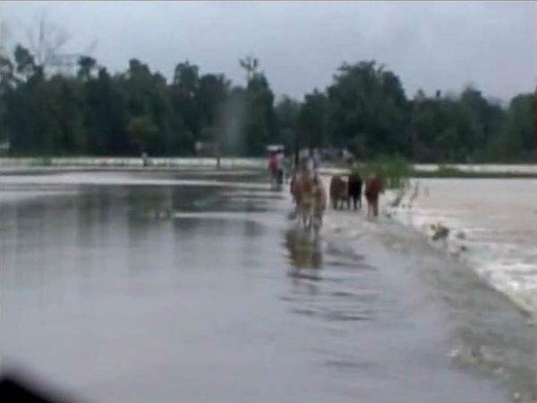 বন্যা পরিস্থিতি