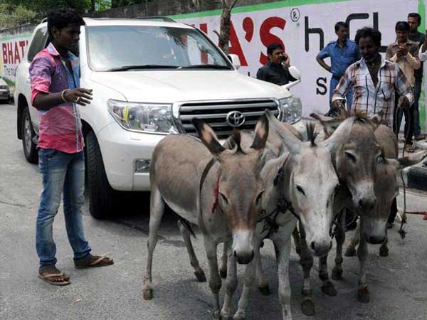 গর্ধব প্রতিবাদ