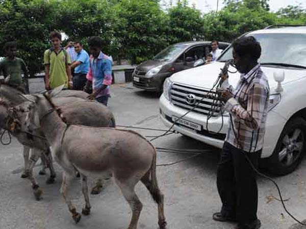 চতুষ্কোণ