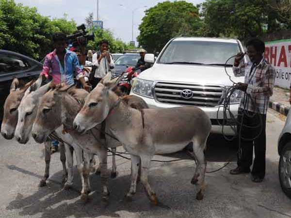 তারকাদের সওয়ারি