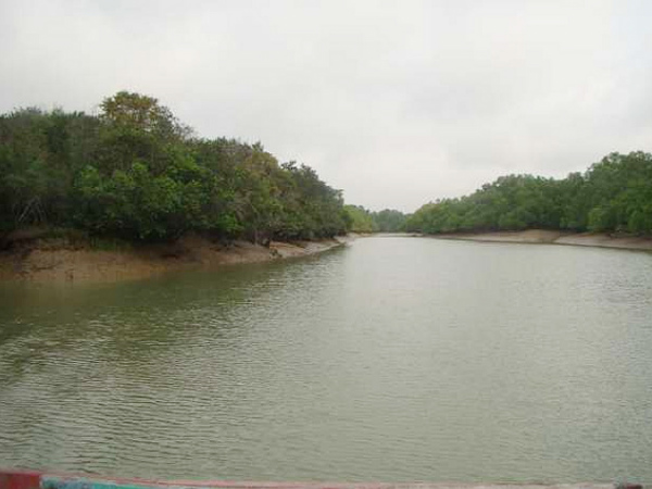 ভিতরকণিকা ম্যানগ্রোভ