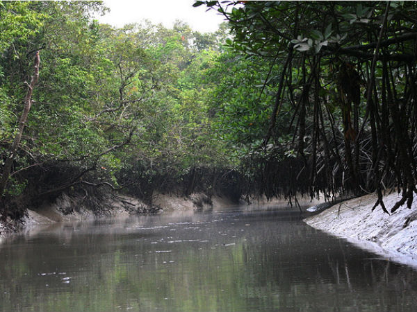 সুন্দরবন