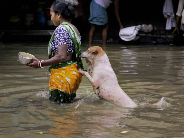 কলকাতা