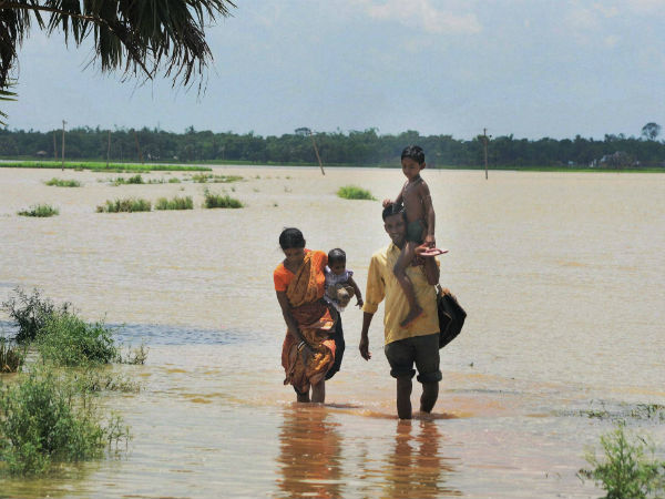 উদ্ধার বহু