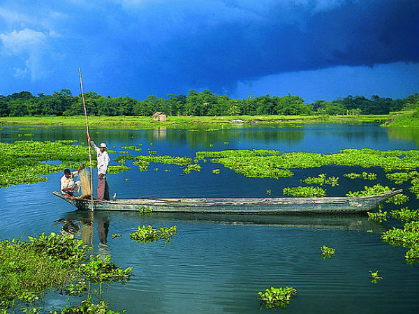 মাজুলি