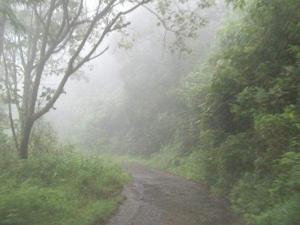 গাভী, কেরল