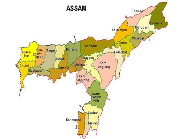 ভাসল কাজিরাঙা ন্যাশনাল পার্ক