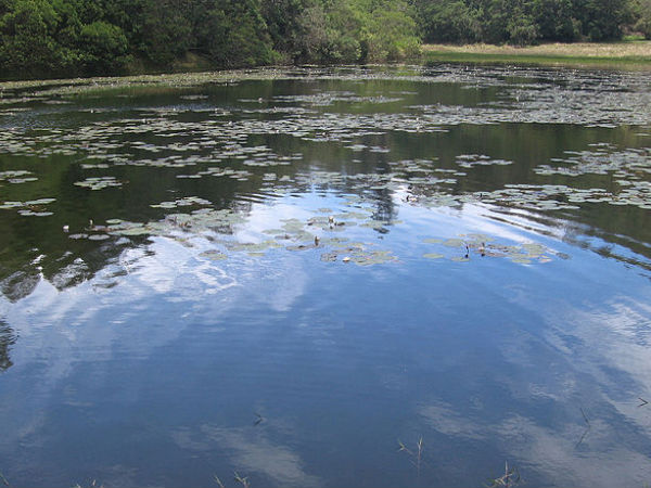 বেরিজাম লেক, কোড়াইকানাল