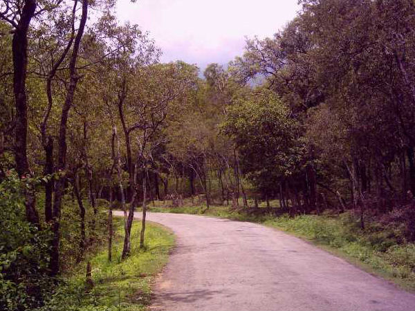 মারায়ুর