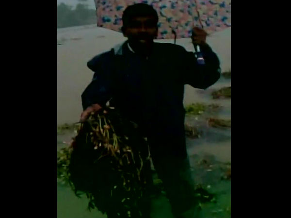 ফসলের ক্ষতি