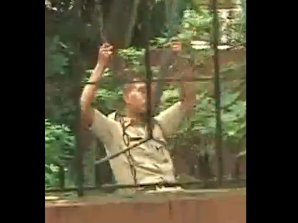 দোল দোল দুলুনি