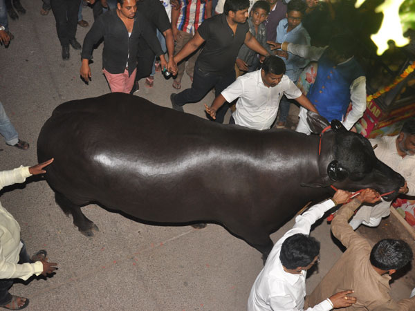 বিস্তর খরচ