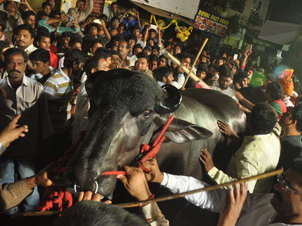 স্বাস্থ্য সচেতন যুবরাজ