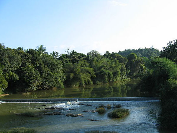 ওয়েনাড়