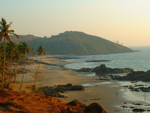 গোয়া