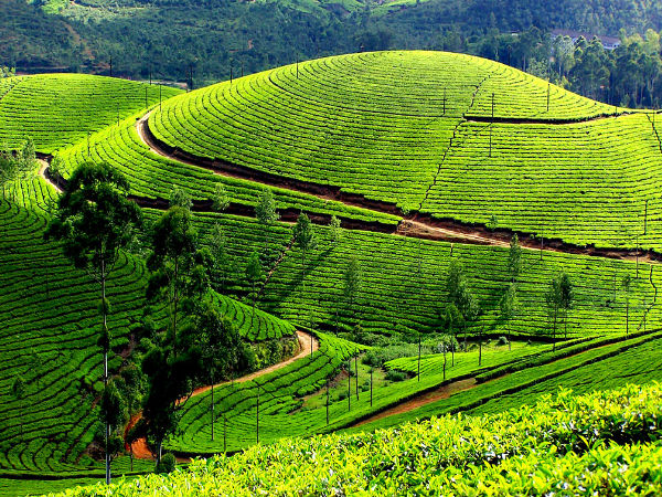 মুন্নার