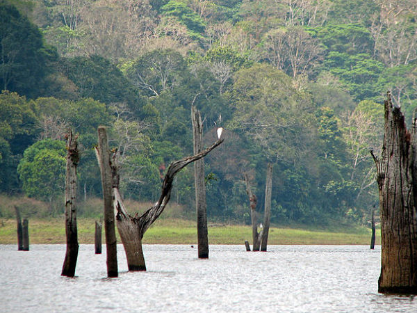 থেক্কাডি