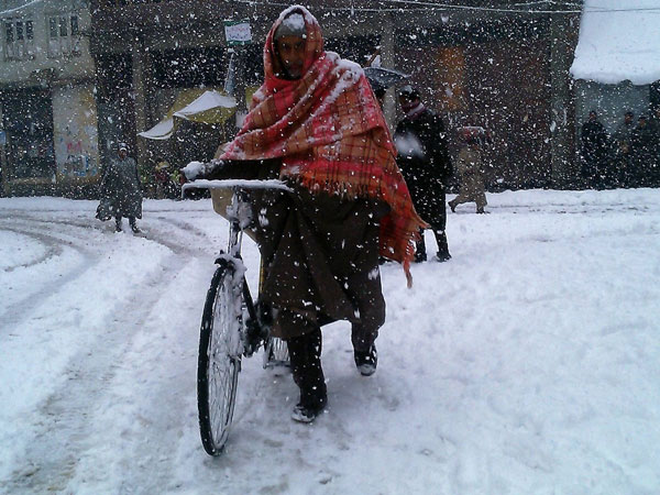 কাঁপছে শিমলা