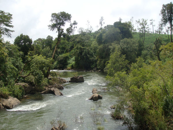 কুর্গ