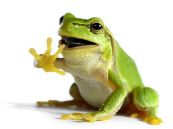 তথ্য ৪