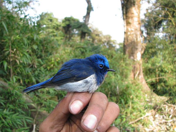ঈগল নেস্ট ওয়াইল্ডলাইফ স্যানচুয়ারি