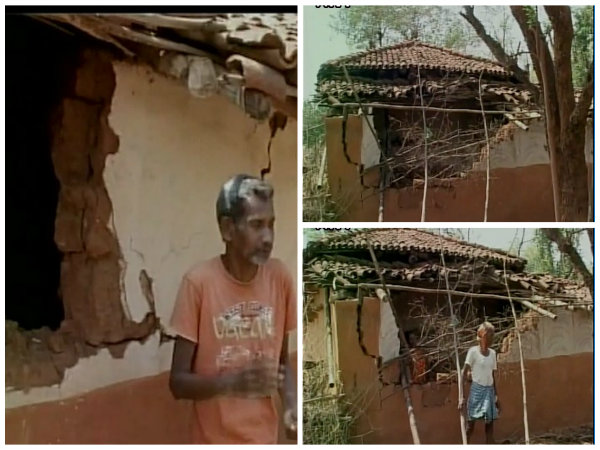 হাতির তাণ্ডব